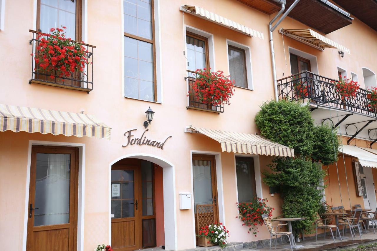 Pension Ferdinand Panzio Sfântu-Gheorghe Exterior foto