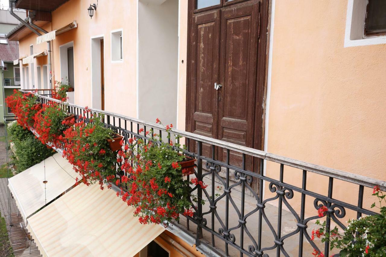 Pension Ferdinand Panzio Sfântu-Gheorghe Exterior foto